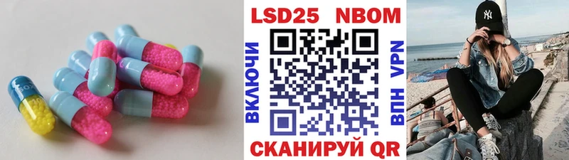 наркота  Кедровый  ЛСД экстази ecstasy 